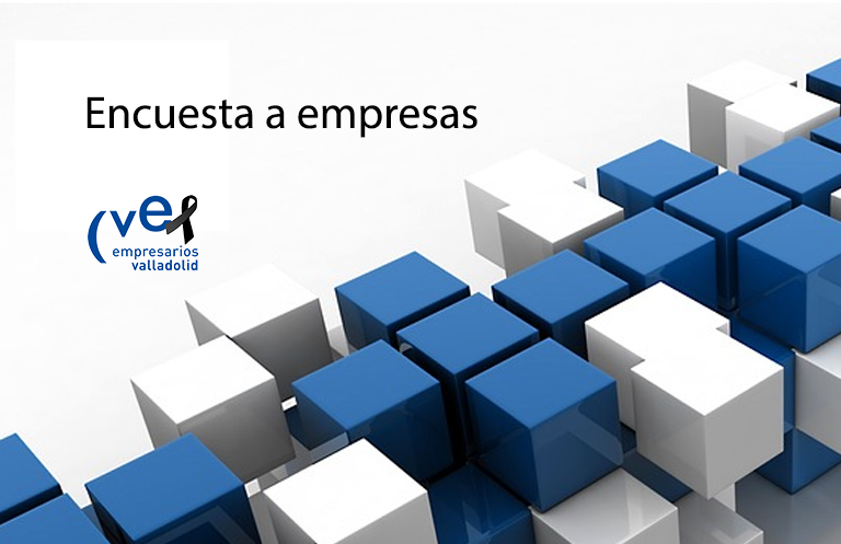 EncuestaEmpresas CVE