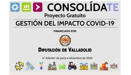 consolidate portada web