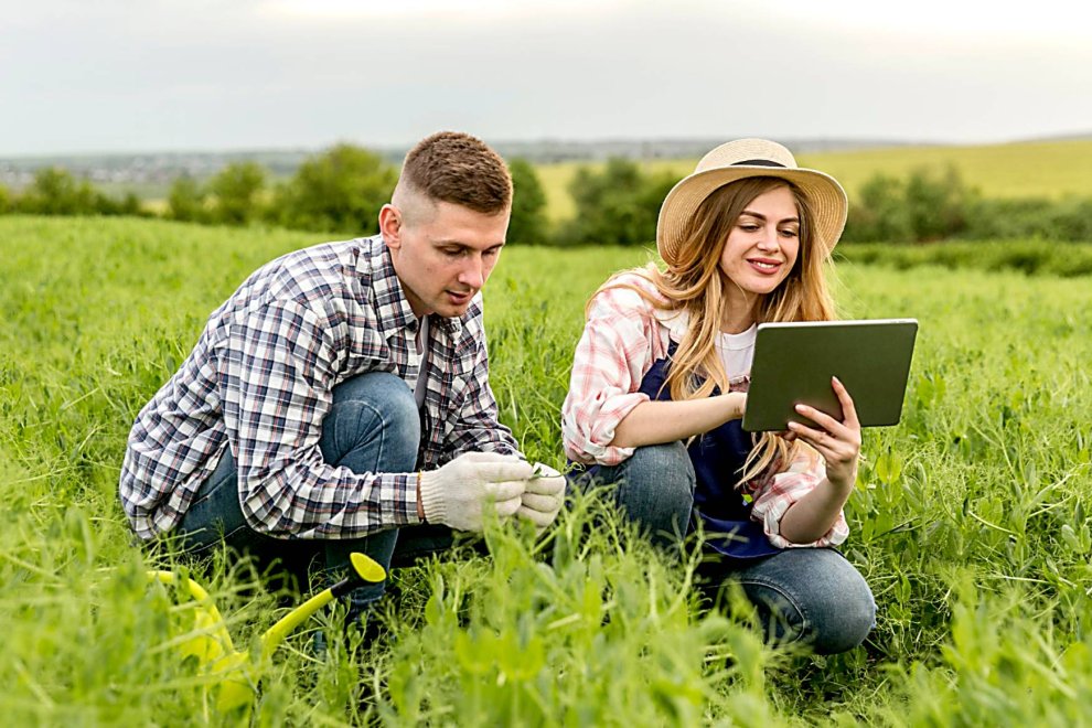 Una pareja de agricultores comprueba el estado fenológico de un cultivo en su explotación.mapa